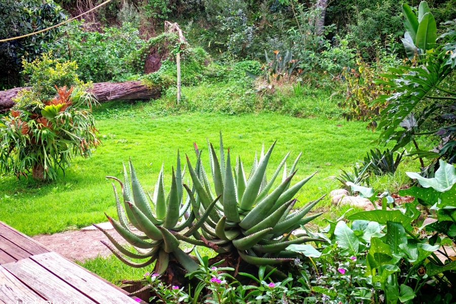 3 Bedroom Property for Sale in Old Place Western Cape